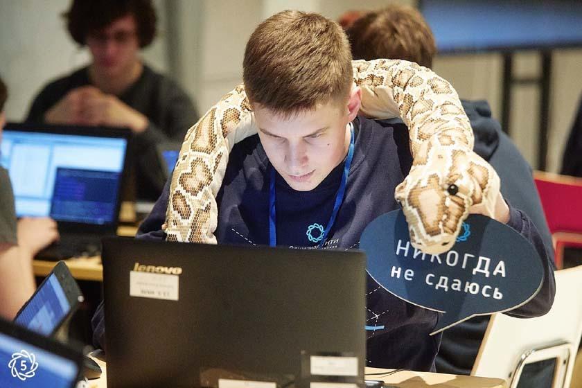 Российские IT-компании организовали конкурс для начинающих программистов